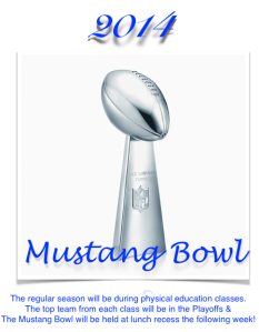 Mustang Bowl